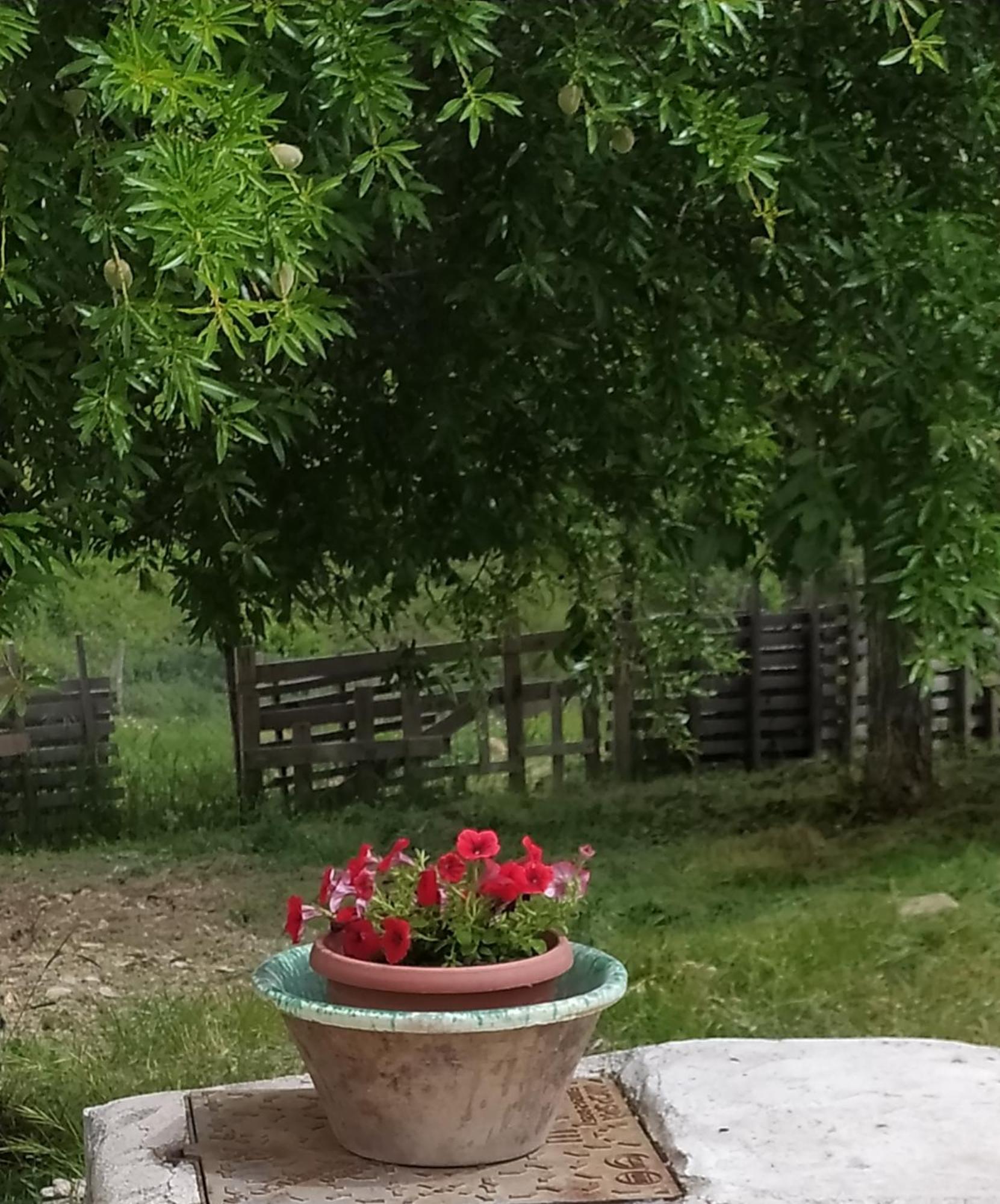 Agribnb Casa Furnaredda Bed & Breakfast Laurenzana Exterior photo